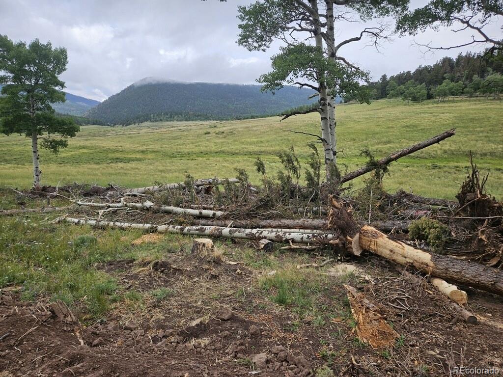 Lot 2841 Wendt Lane Fort Garland CO 81133