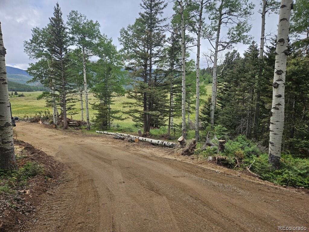 Lot 2841 Wendt Lane Fort Garland CO 81133