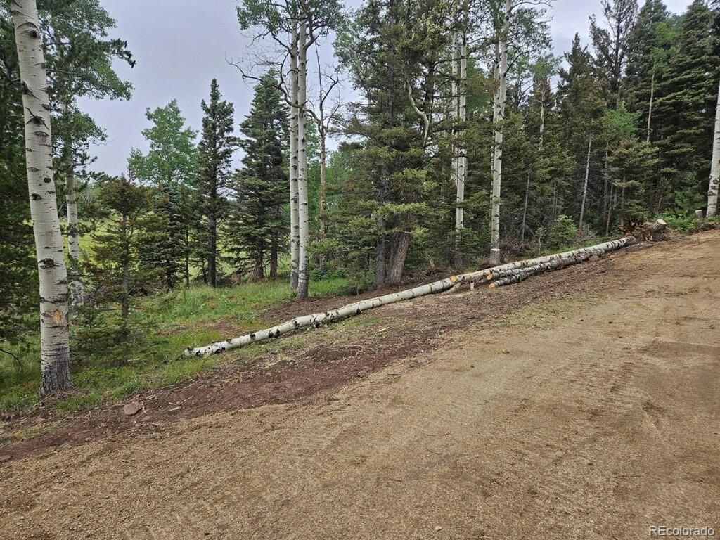 Lot 2841 Wendt Lane Fort Garland CO 81133