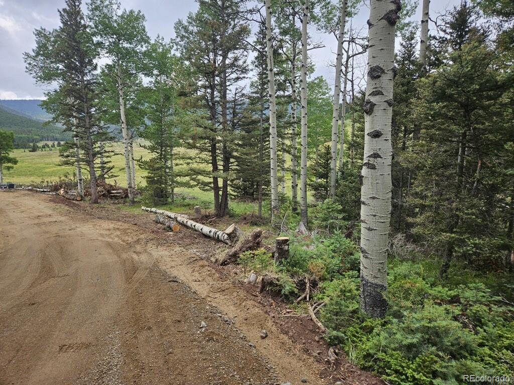 Lot 2841 Wendt Lane Fort Garland CO 81133