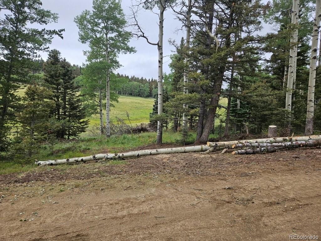 Lot 2841 Wendt Lane Fort Garland CO 81133