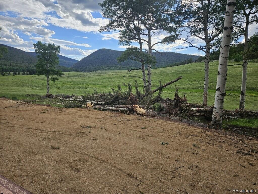 Lot 2841 Wendt Lane Fort Garland CO 81133