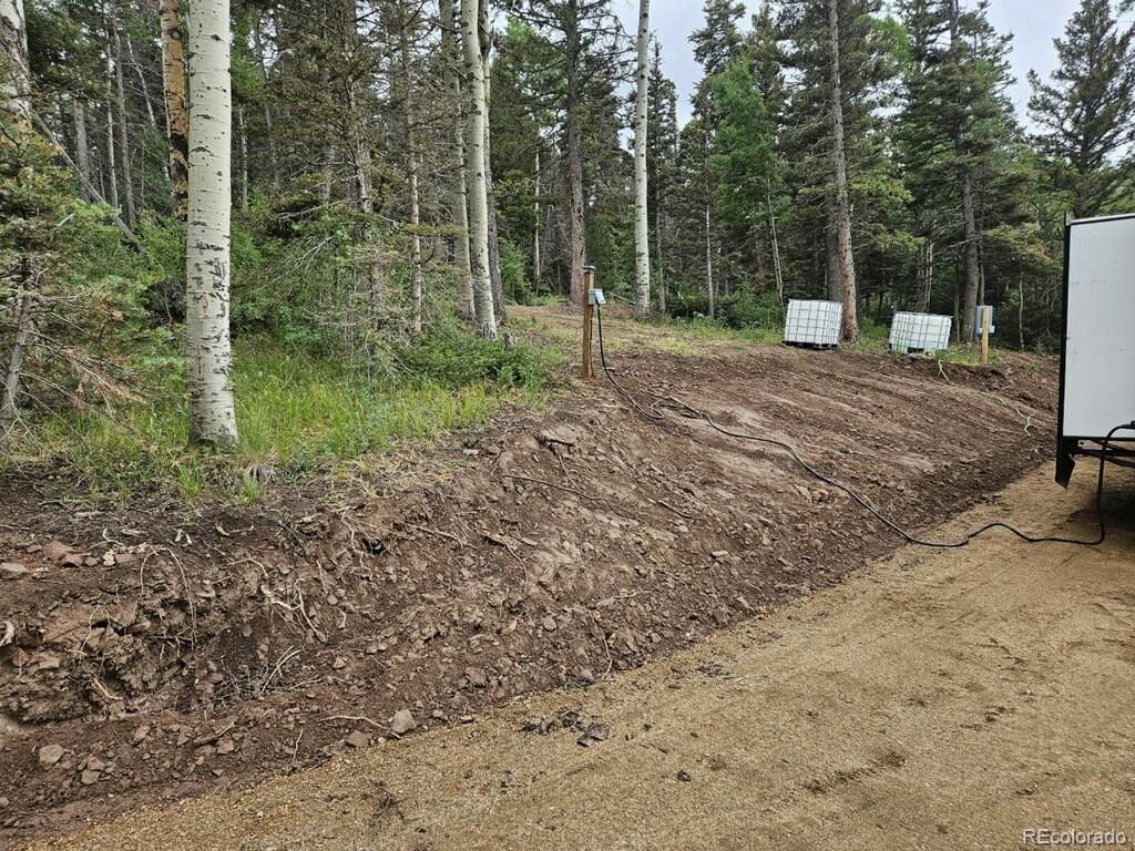 Lot 2841 Wendt Lane Fort Garland CO 81133