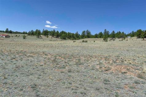 1999 Arapaho Trail Hartsel CO 80449