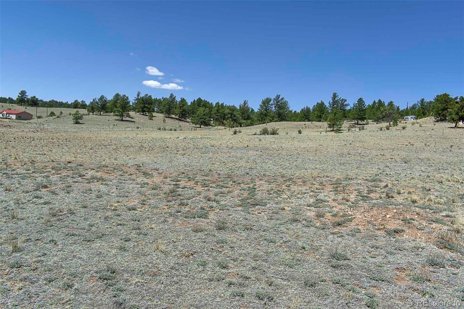 1999 Arapaho Trail Hartsel CO 80449