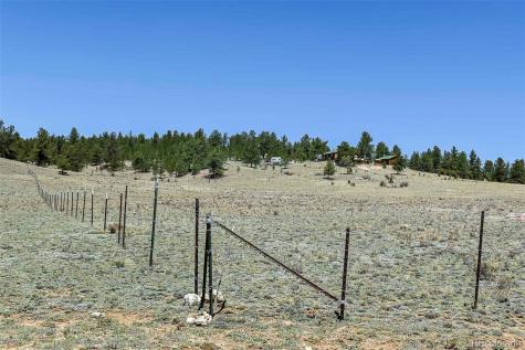 1999 Arapaho Trail Hartsel CO 80449