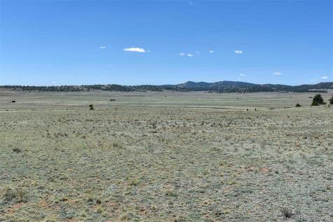 1999 Arapaho Trail Hartsel CO 80449