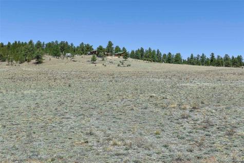 1999 Arapaho Trail Hartsel CO 80449