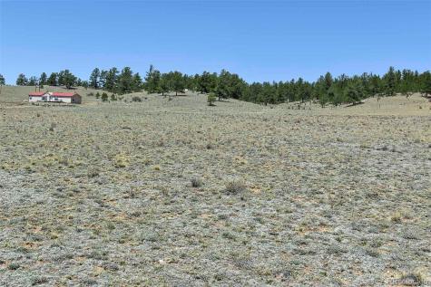 1999 Arapaho Trail Hartsel CO 80449
