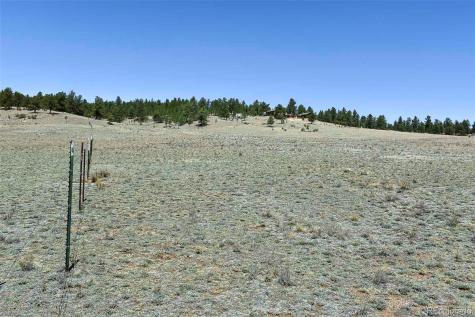 1999 Arapaho Trail Hartsel CO 80449
