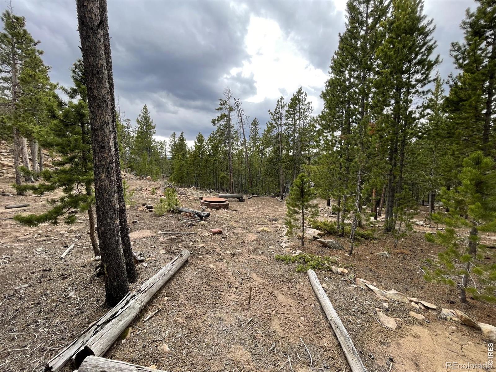 120 Shuswap Court Red Feather Lakes CO 80545