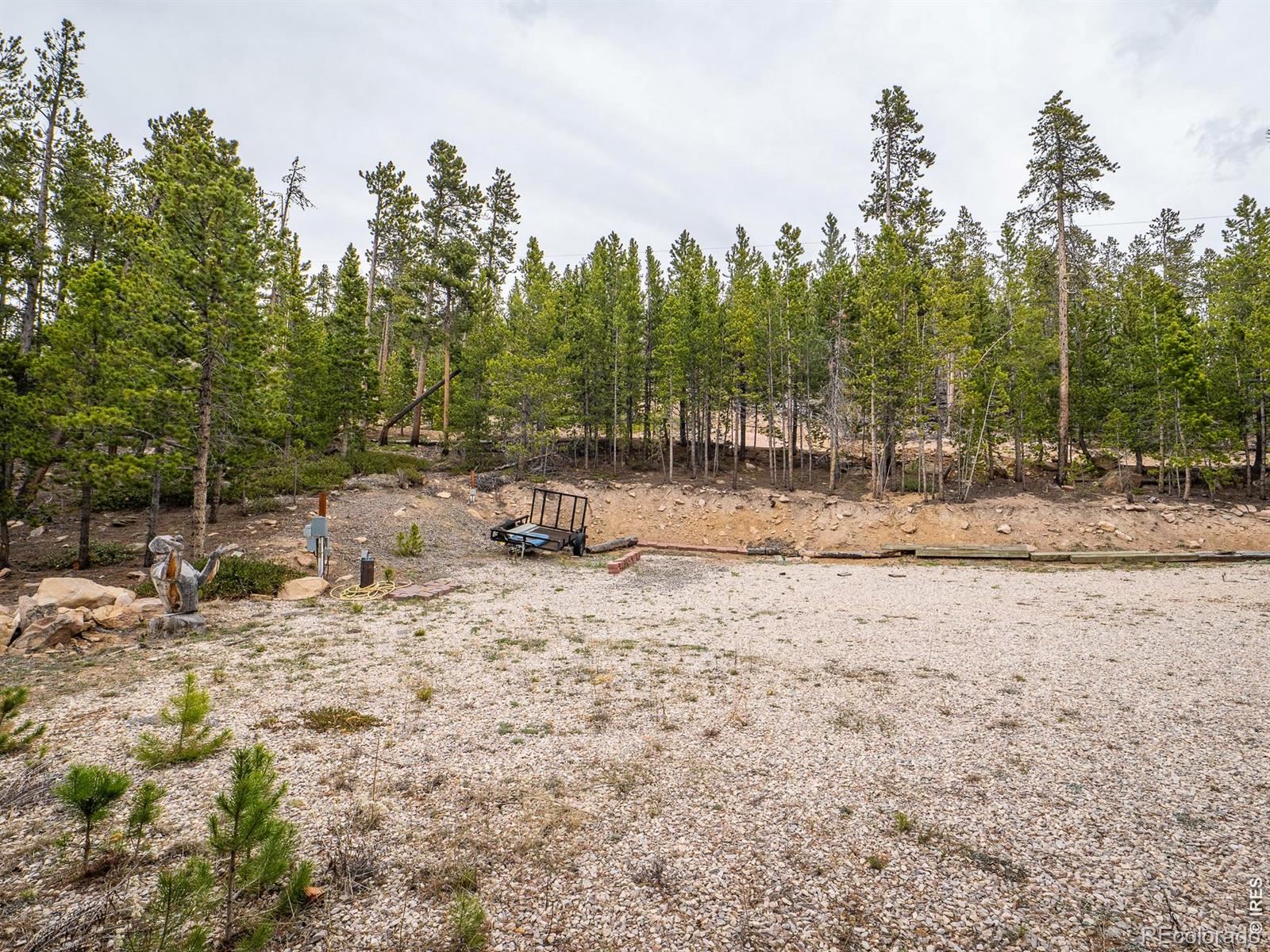 120 Shuswap Court Red Feather Lakes CO 80545