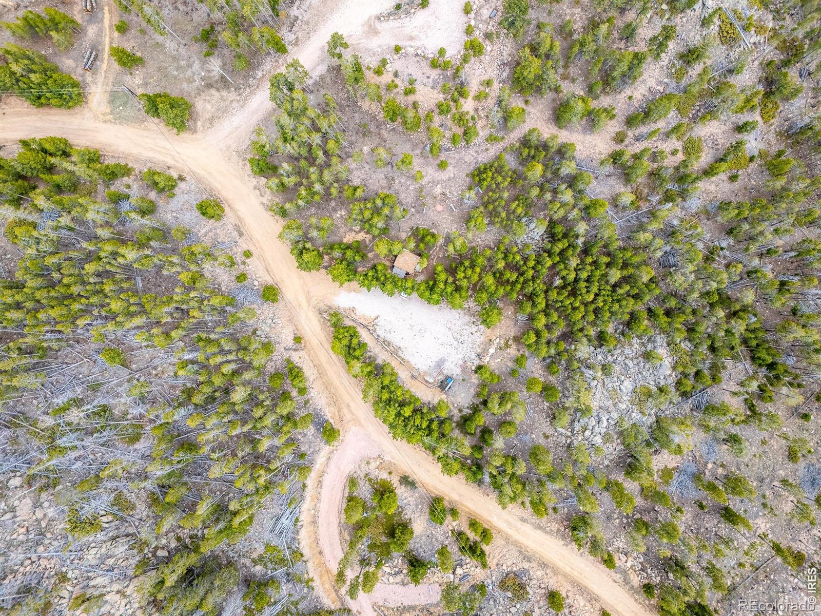 120 Shuswap Court Red Feather Lakes CO 80545