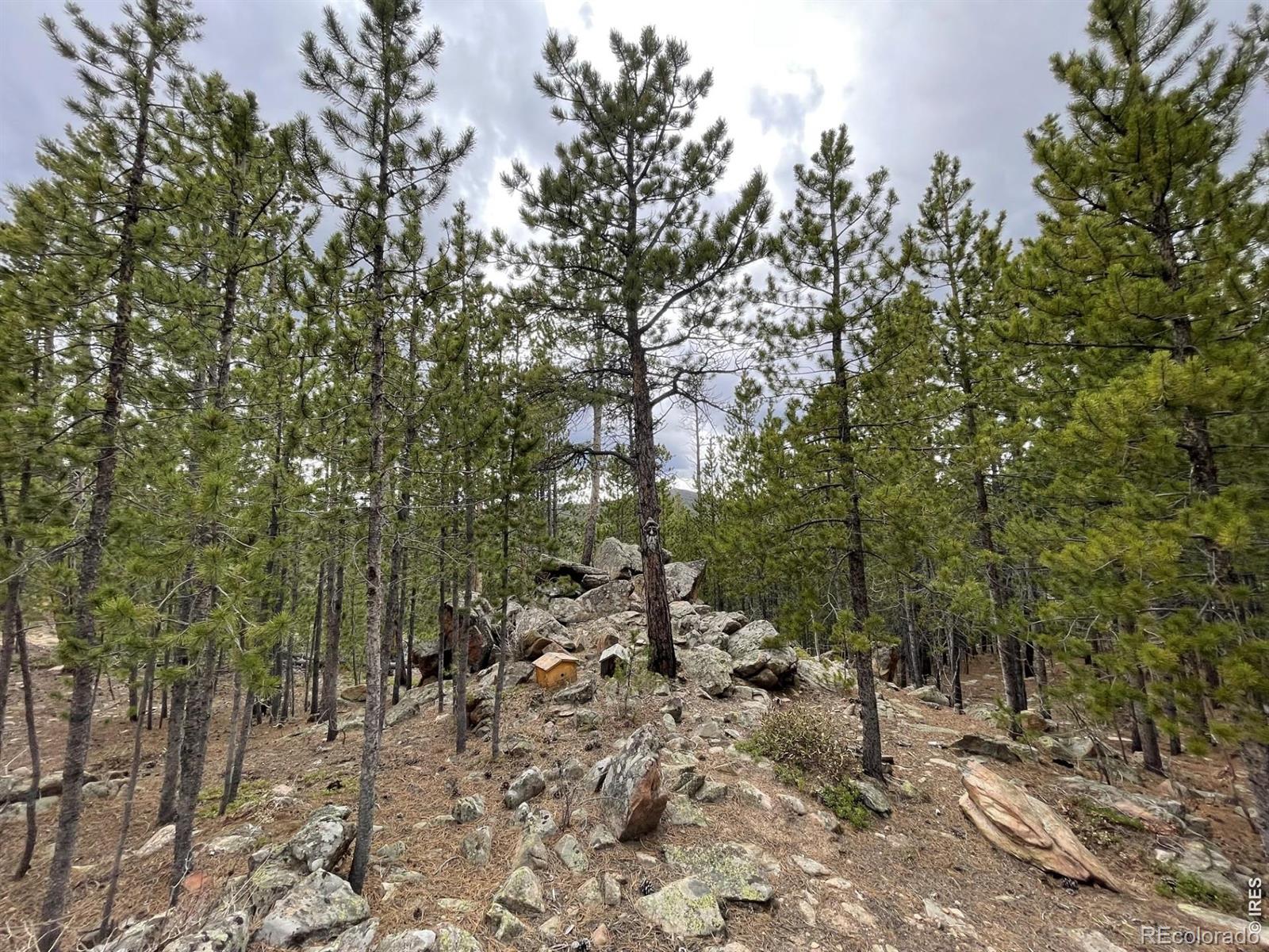 120 Shuswap Court Red Feather Lakes CO 80545