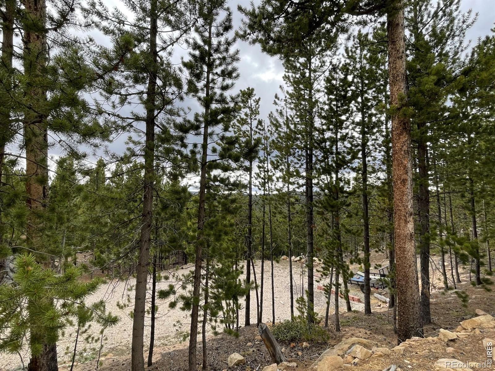 120 Shuswap Court Red Feather Lakes CO 80545