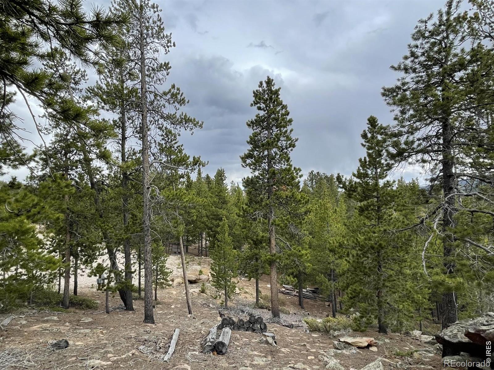 120 Shuswap Court Red Feather Lakes CO 80545