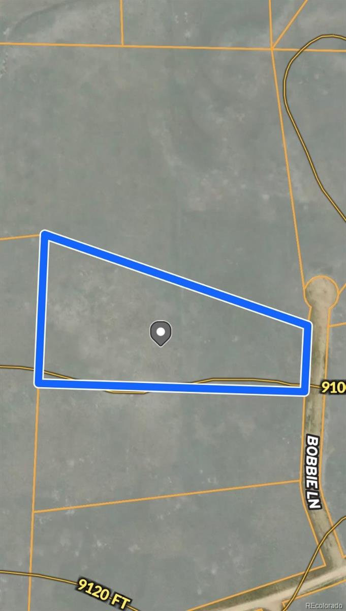 4284 Goldenberg Canyon Road Hartsel CO 80449