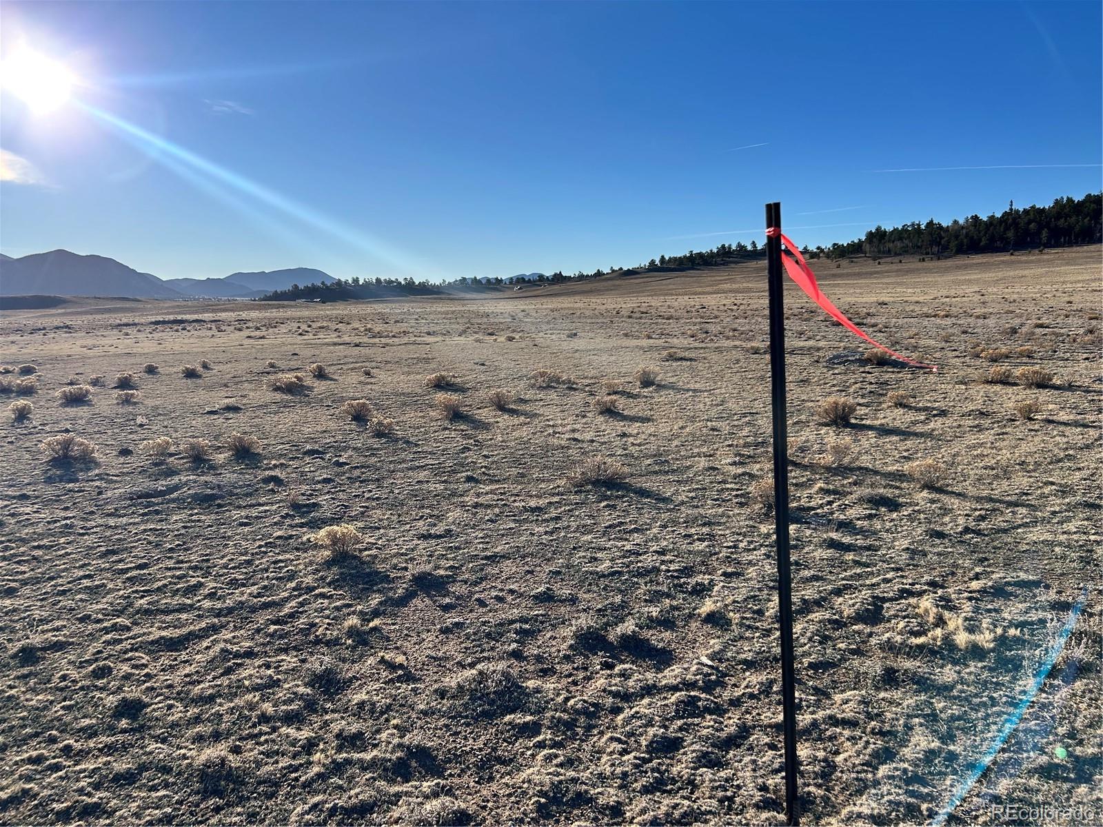 4284 Goldenberg Canyon Road Hartsel CO 80449
