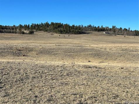 4284 Goldenberg Canyon Road Hartsel CO 80449