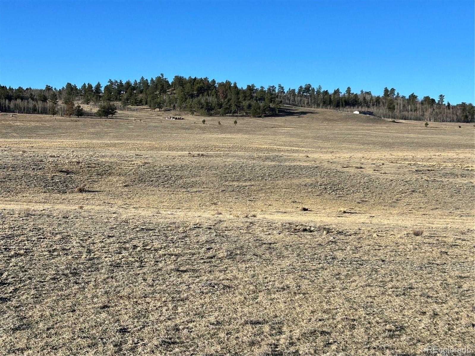 4284 Goldenberg Canyon Road Hartsel CO 80449