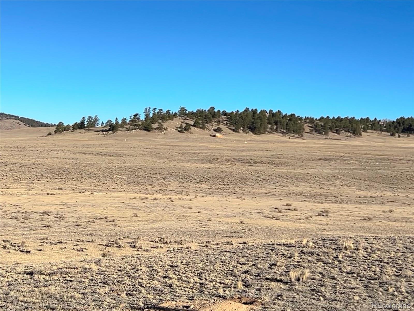4284 Goldenberg Canyon Road Hartsel CO 80449