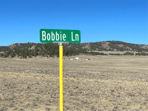 4284 Goldenberg Canyon Road Hartsel CO 80449