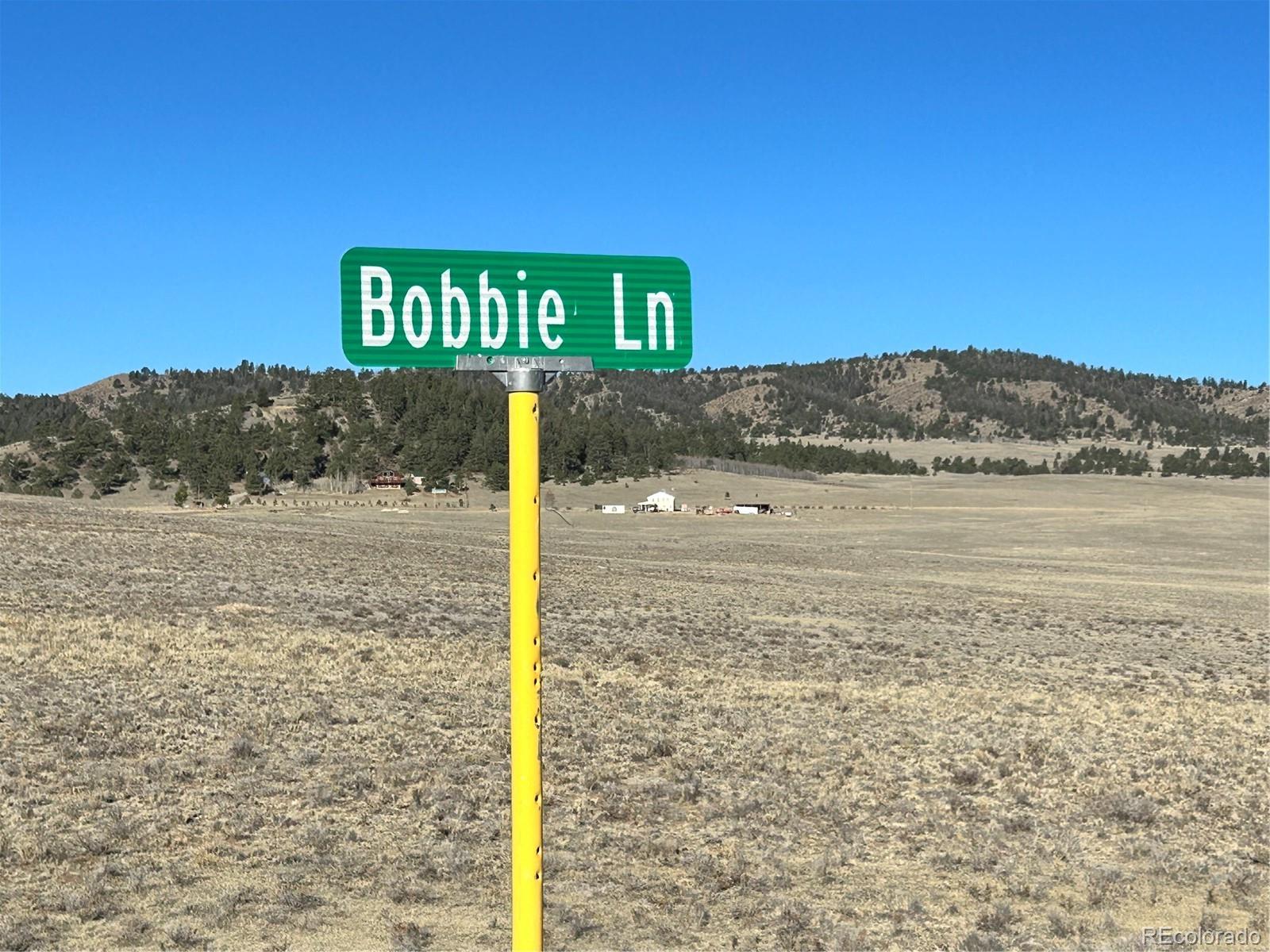 4284 Goldenberg Canyon Road Hartsel CO 80449