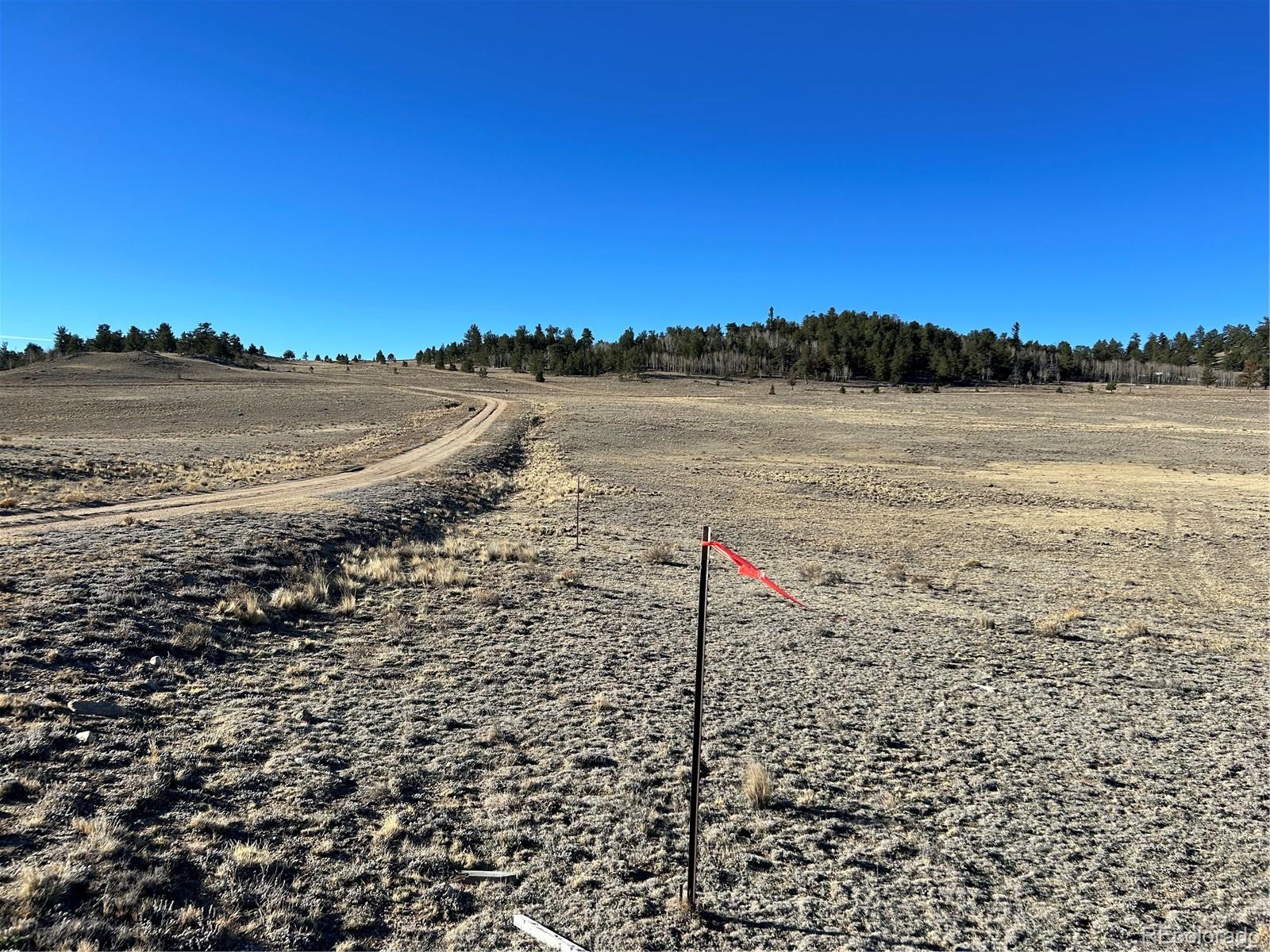 4284 Goldenberg Canyon Road Hartsel CO 80449