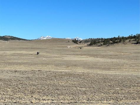 4284 Goldenberg Canyon Road Hartsel CO 80449