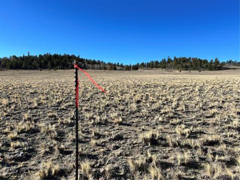 4284 Goldenberg Canyon Road Hartsel CO 80449