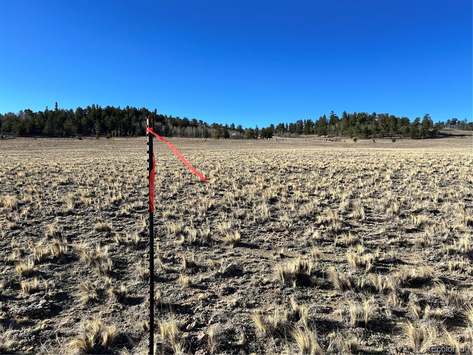 4284 Goldenberg Canyon Road Hartsel CO 80449