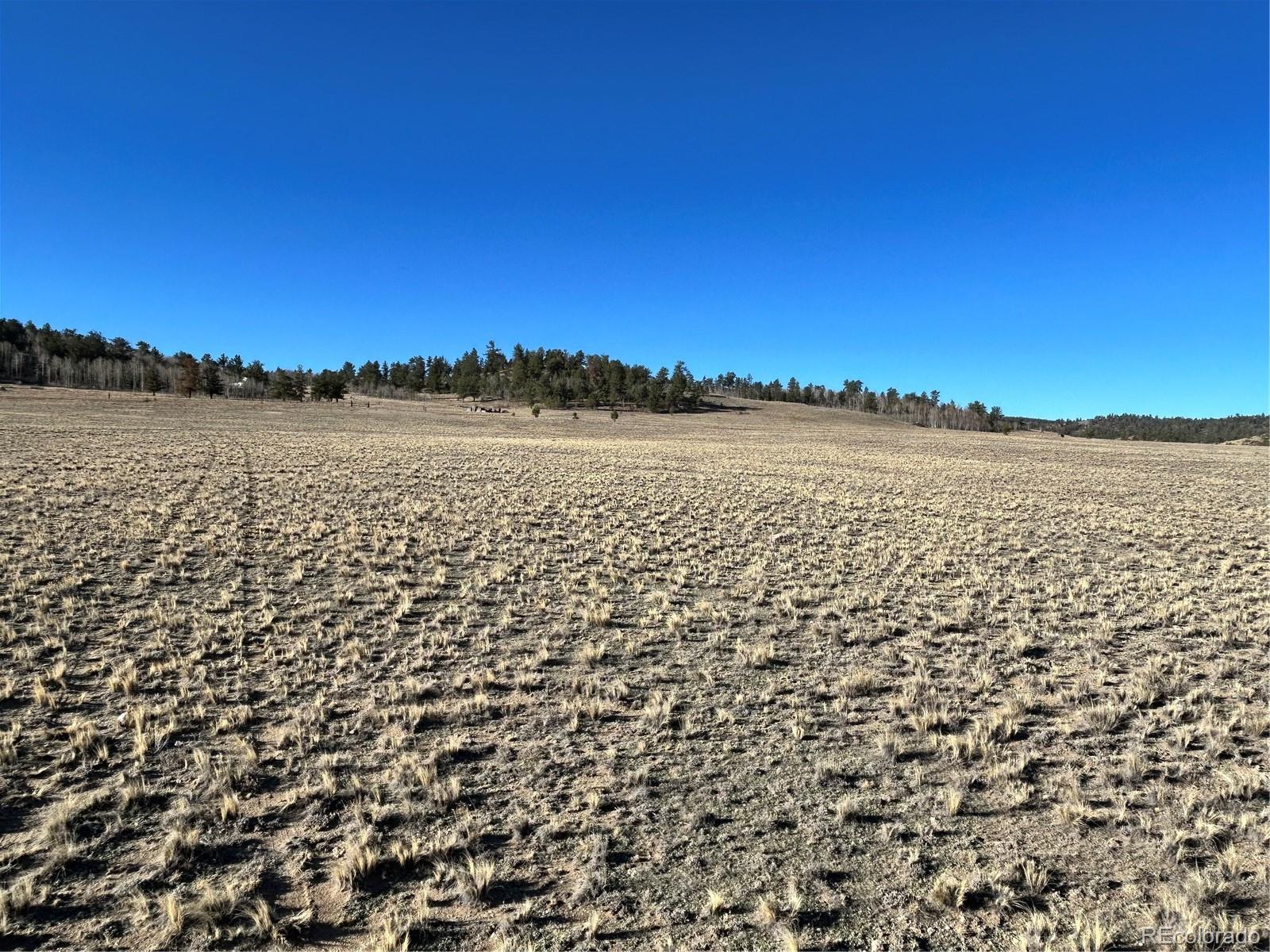 4284 Goldenberg Canyon Road Hartsel CO 80449