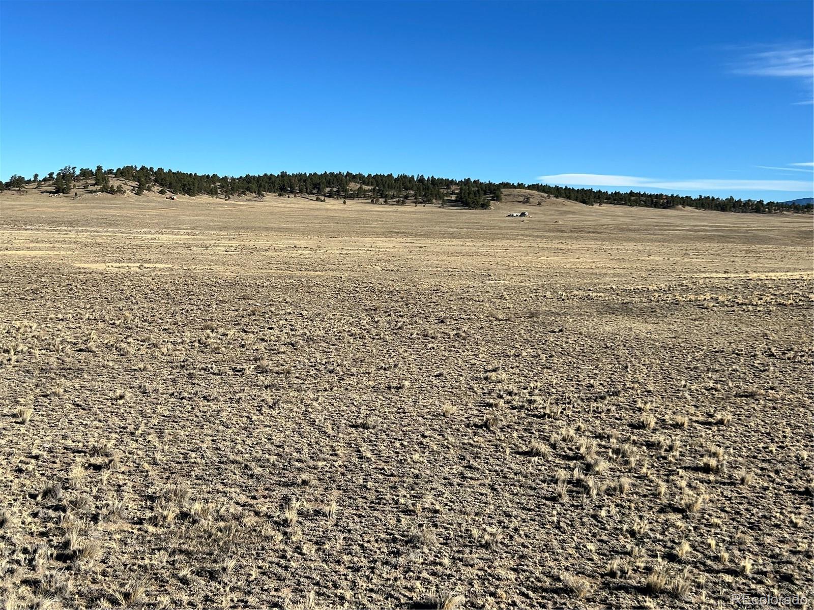 4284 Goldenberg Canyon Road Hartsel CO 80449