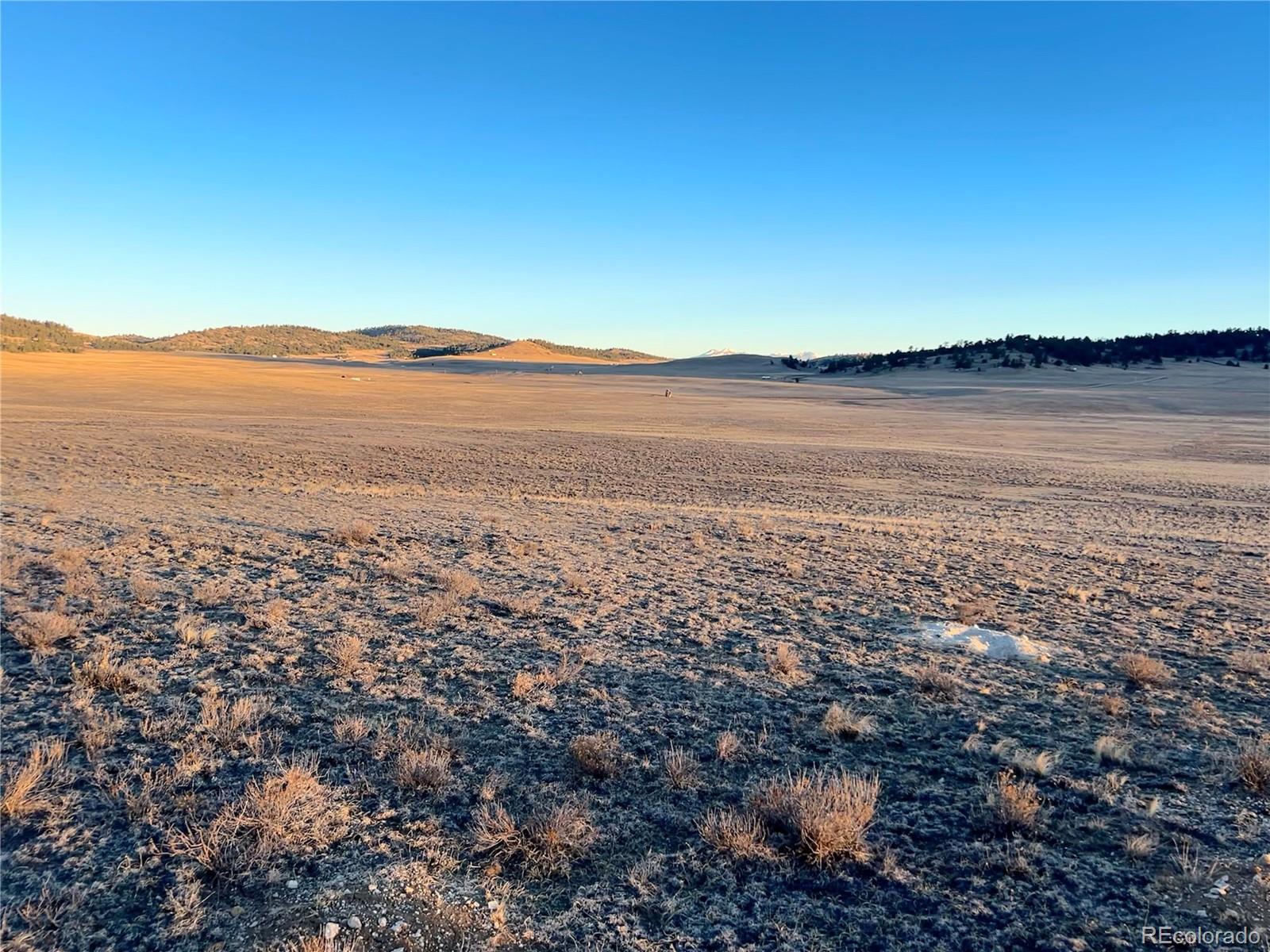 4284 Goldenberg Canyon Road Hartsel CO 80449