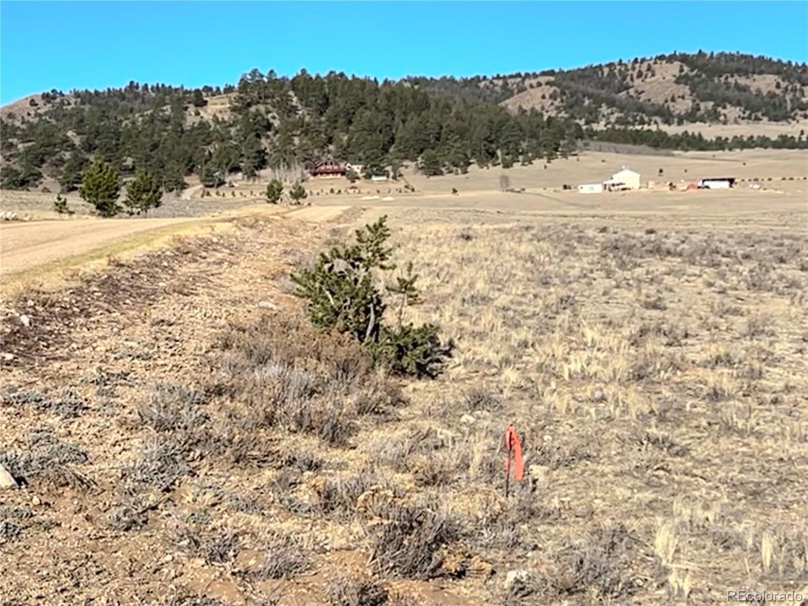 4284 Goldenberg Canyon Road Hartsel CO 80449