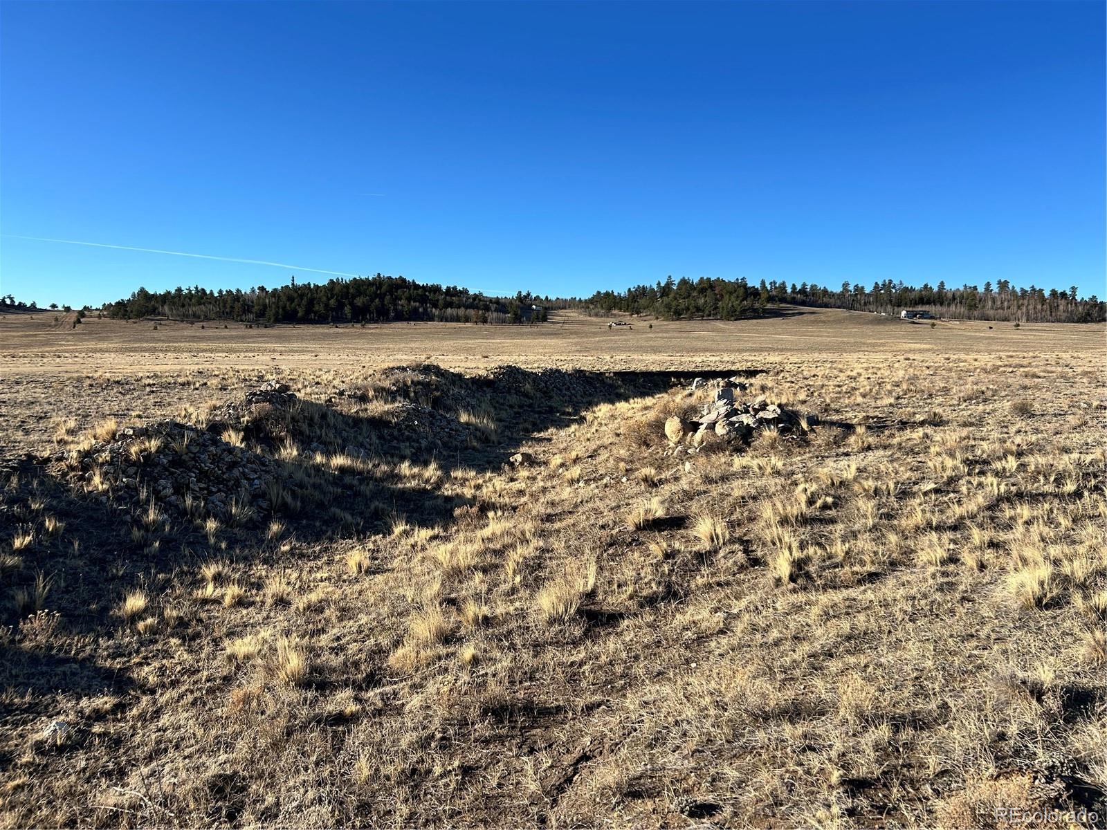 4284 Goldenberg Canyon Road Hartsel CO 80449