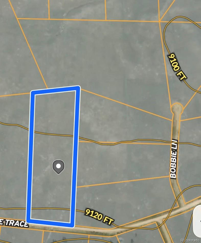 4284 Goldenberg Canyon Road Hartsel CO 80449