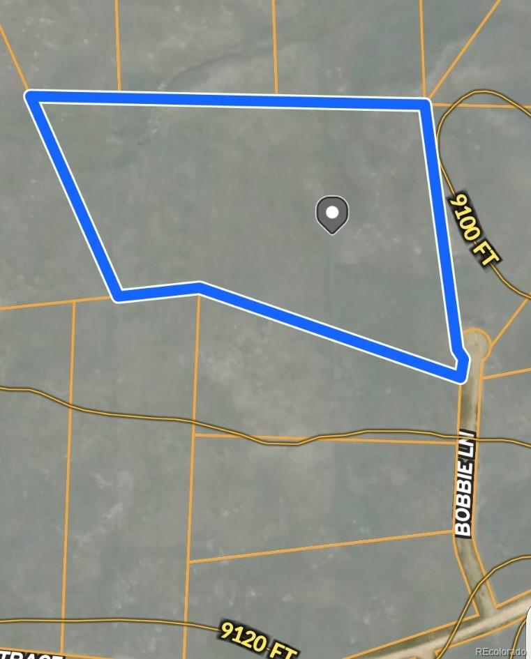 4284 Goldenberg Canyon Road Hartsel CO 80449