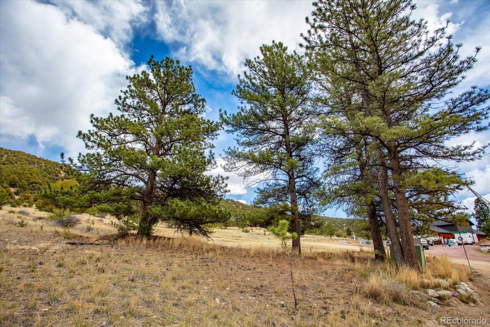 8972 Hanging Tree Drive Salida CO 81201
