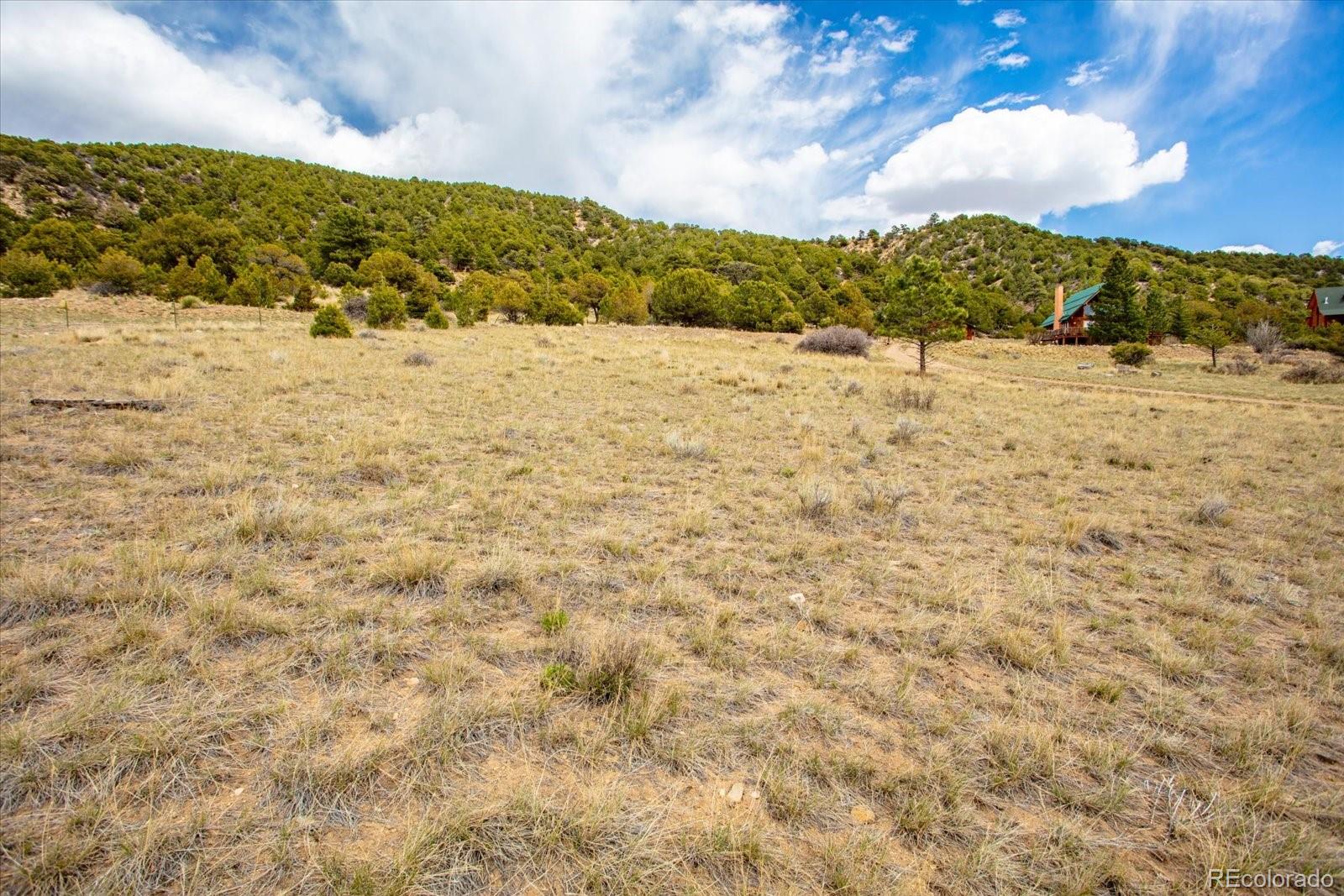 8972 Hanging Tree Drive Salida CO 81201