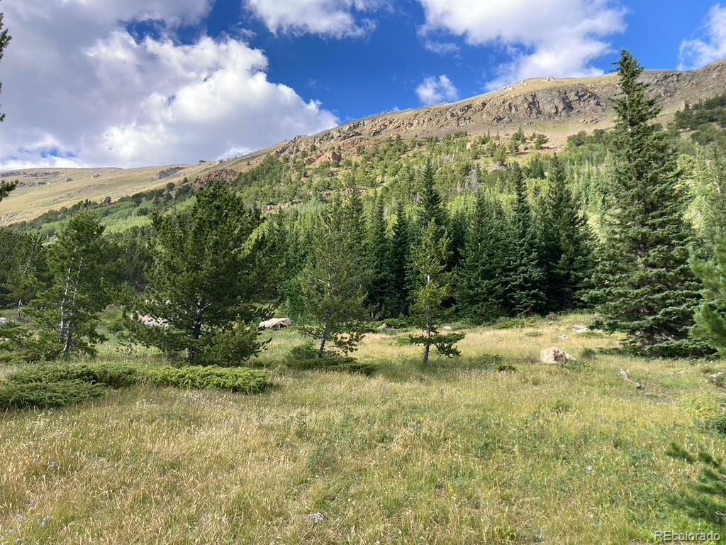 4400 4th Of July Road Nederland CO 80466