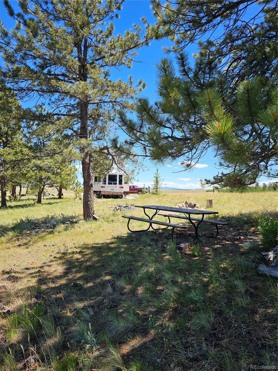 51 Singletree Lane Hartsel CO 80449