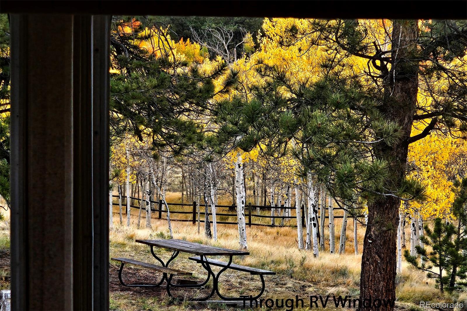 51 Singletree Lane Hartsel CO 80449