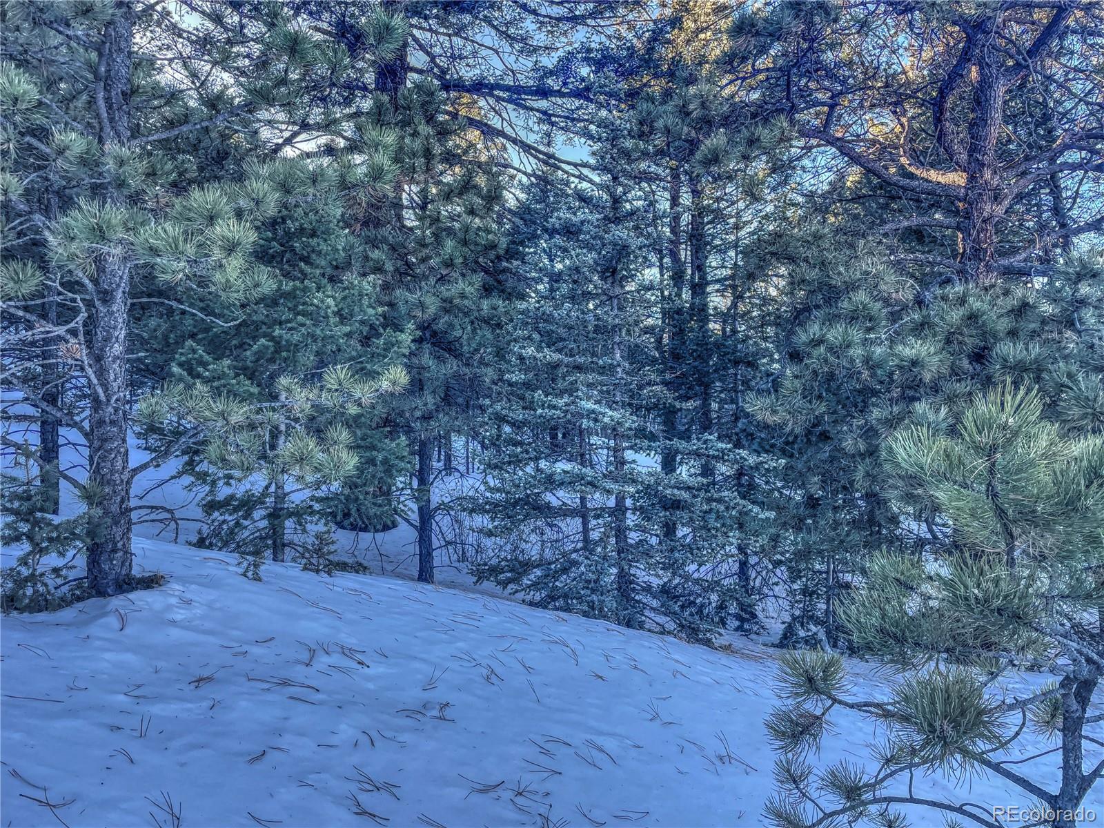 1174 Monarch Drive Cripple Creek CO 80813