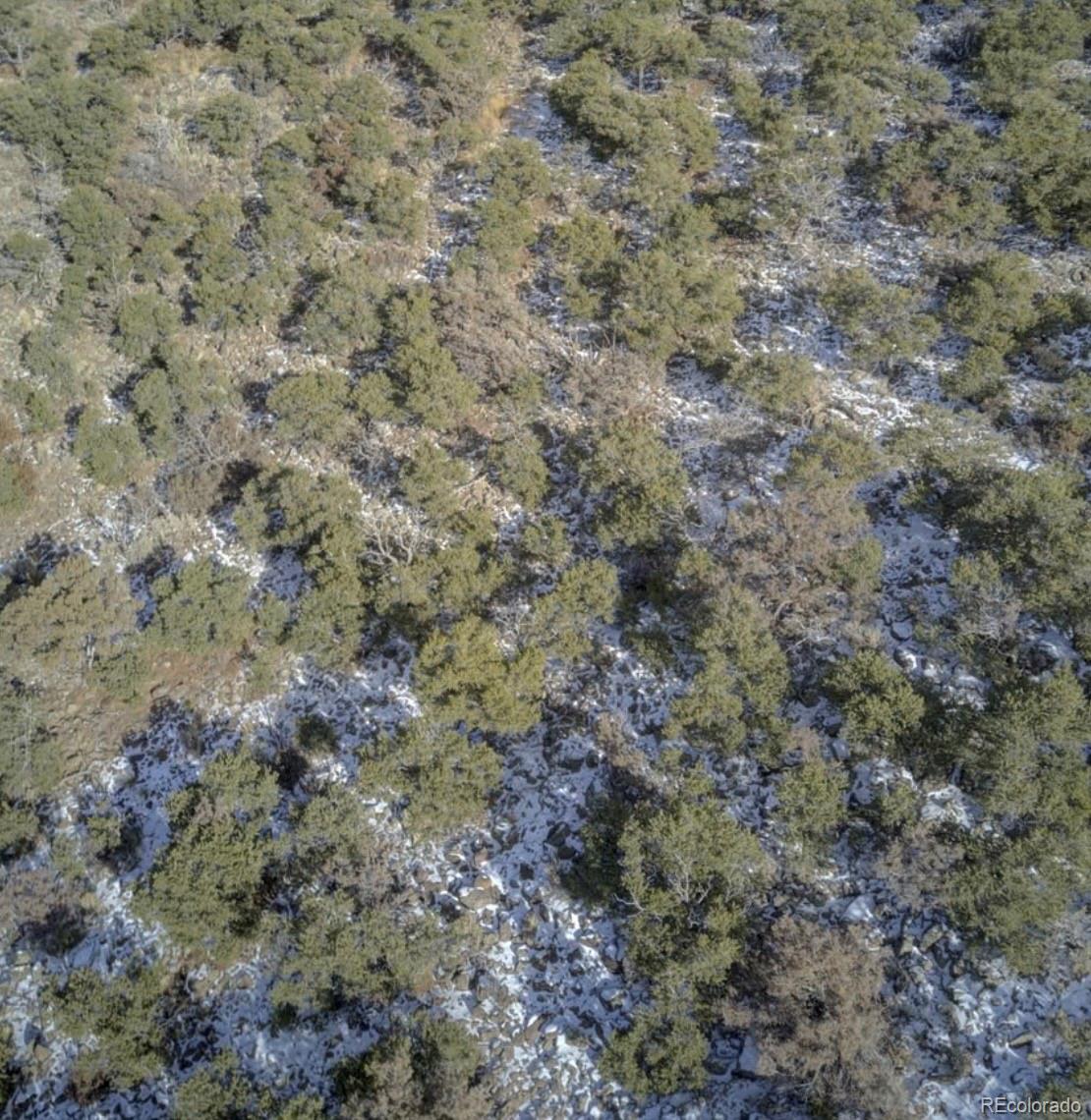 Lot 2443 Hall Lane Fort Garland CO 81133