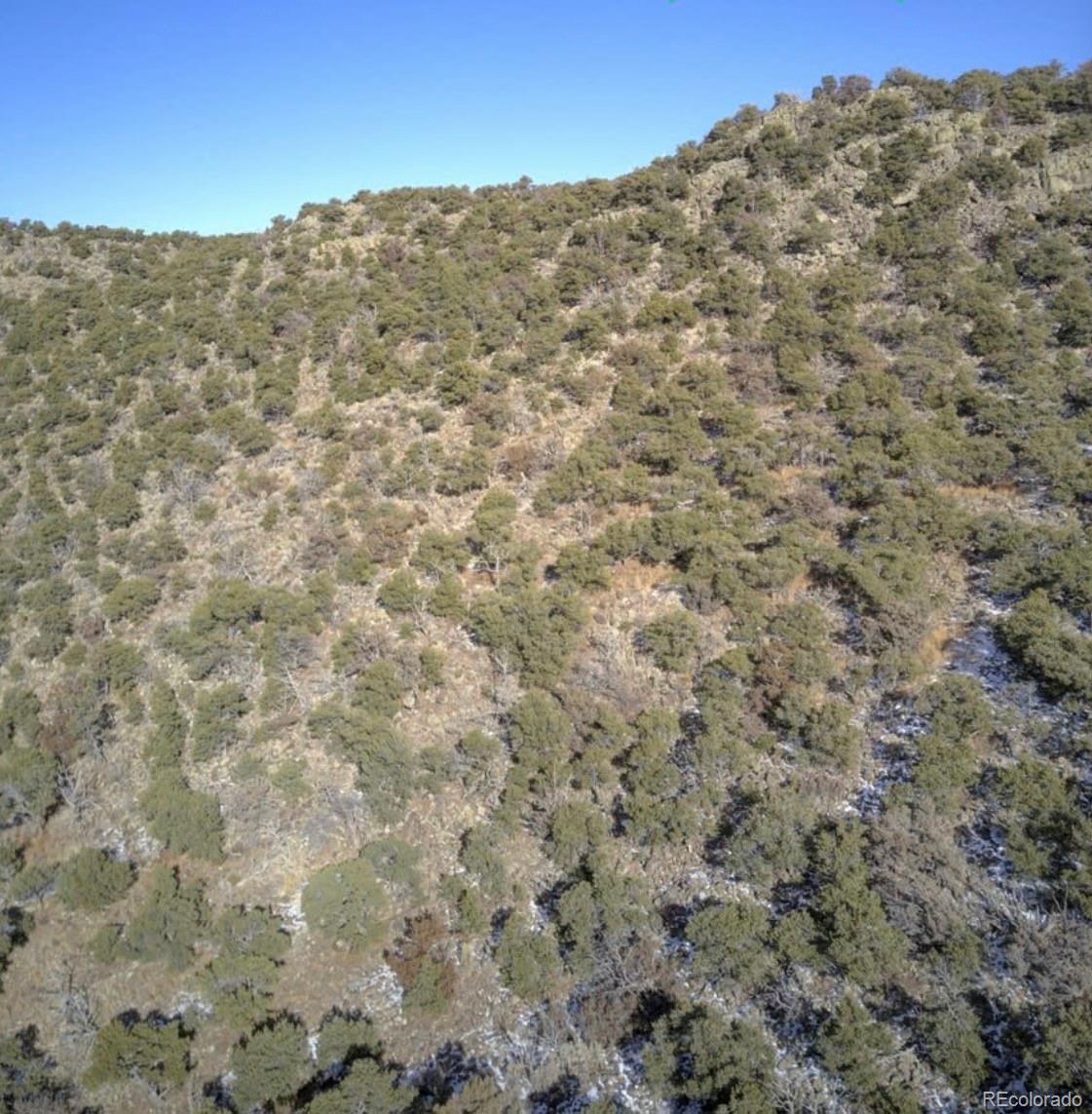 Lot 2443 Hall Lane Fort Garland CO 81133