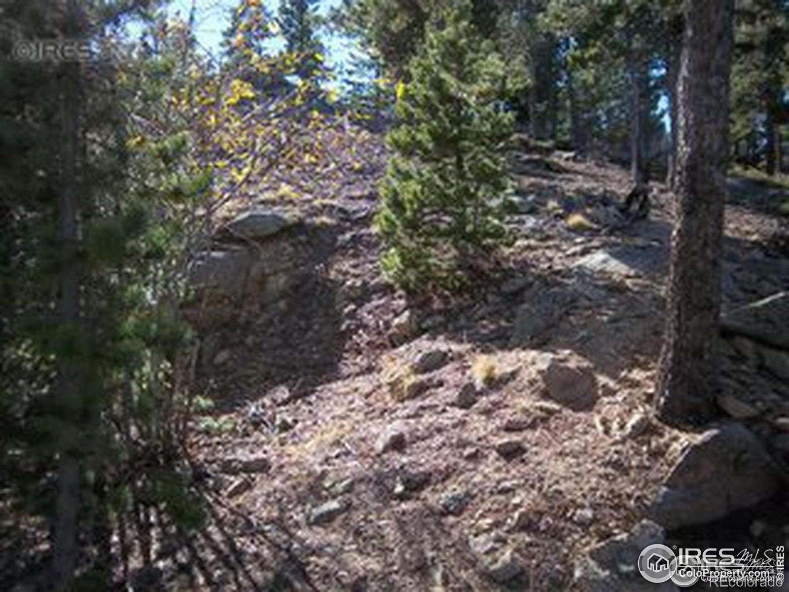 11717 Coal Creek Heights Drive Golden CO 80403
