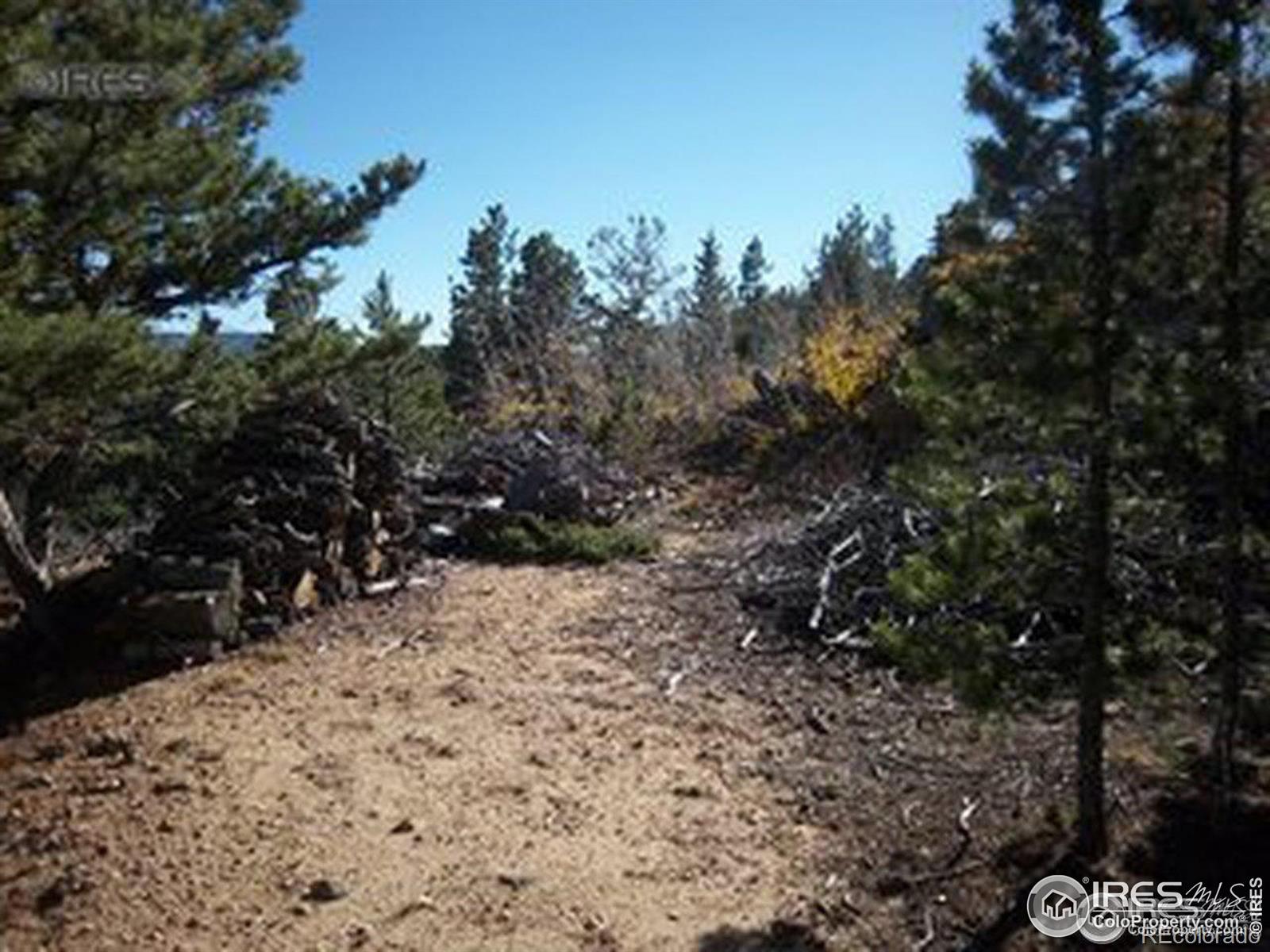11717 Coal Creek Heights Drive Golden CO 80403
