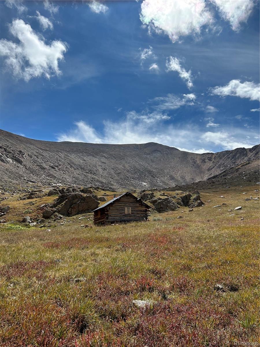 10171 Gold Buckle Group & 11485 Whale Group Leadville CO 80461