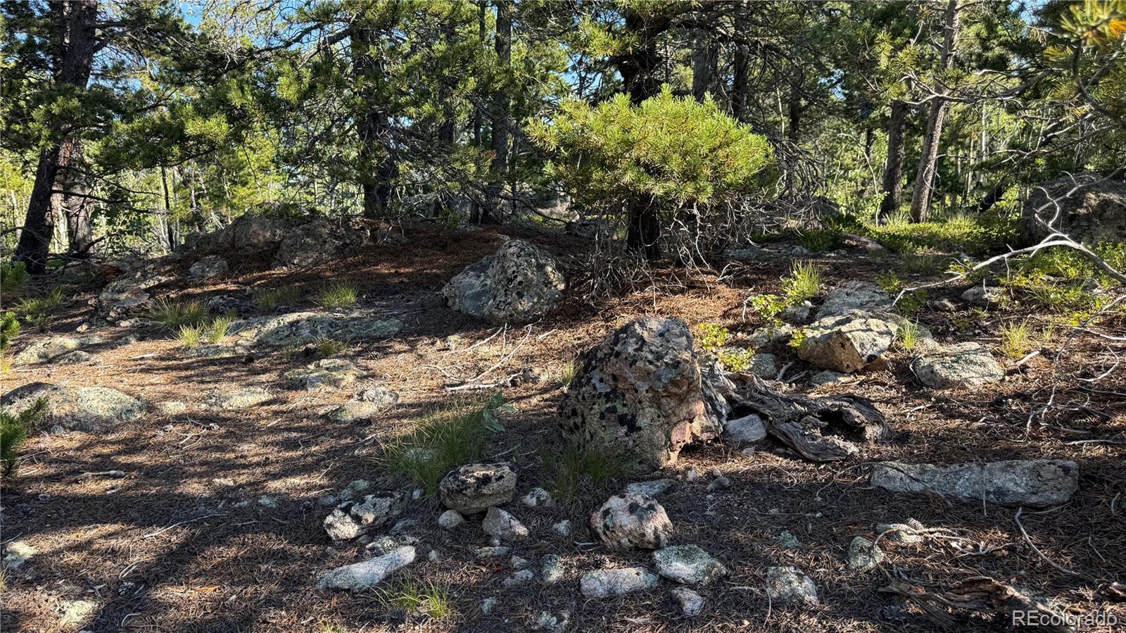 001 Peak View Drive Black Hawk CO 80422